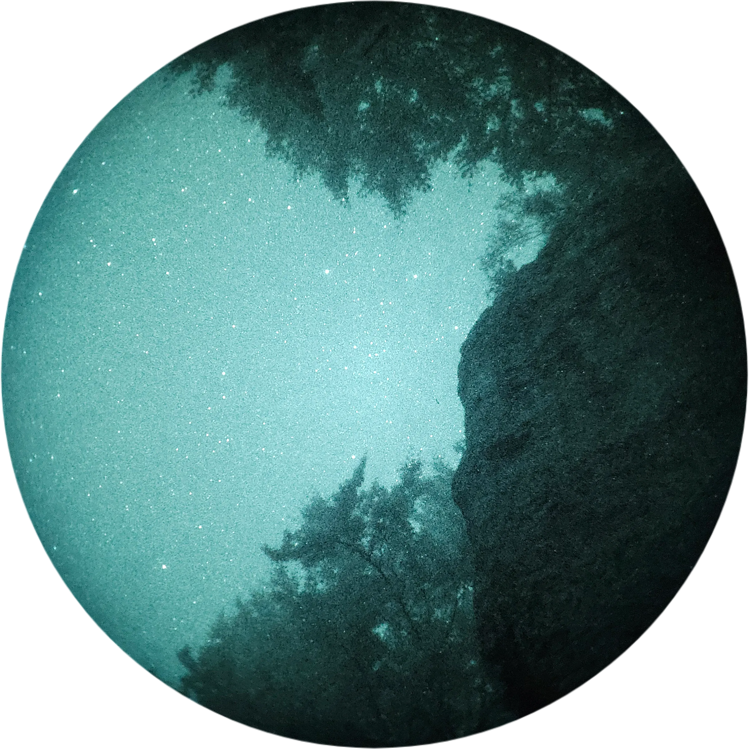 Forested cliff face under a starry night sky during a night trip
