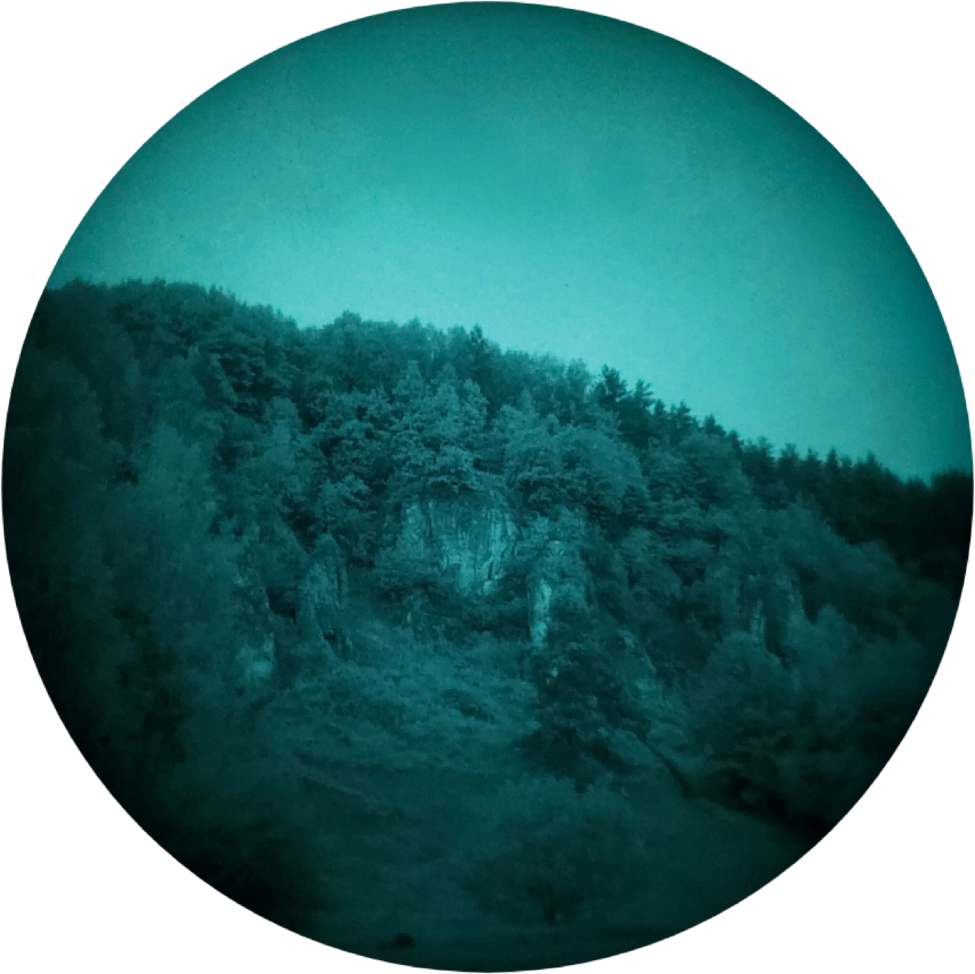Rocky forest formations seen through night-vision goggles